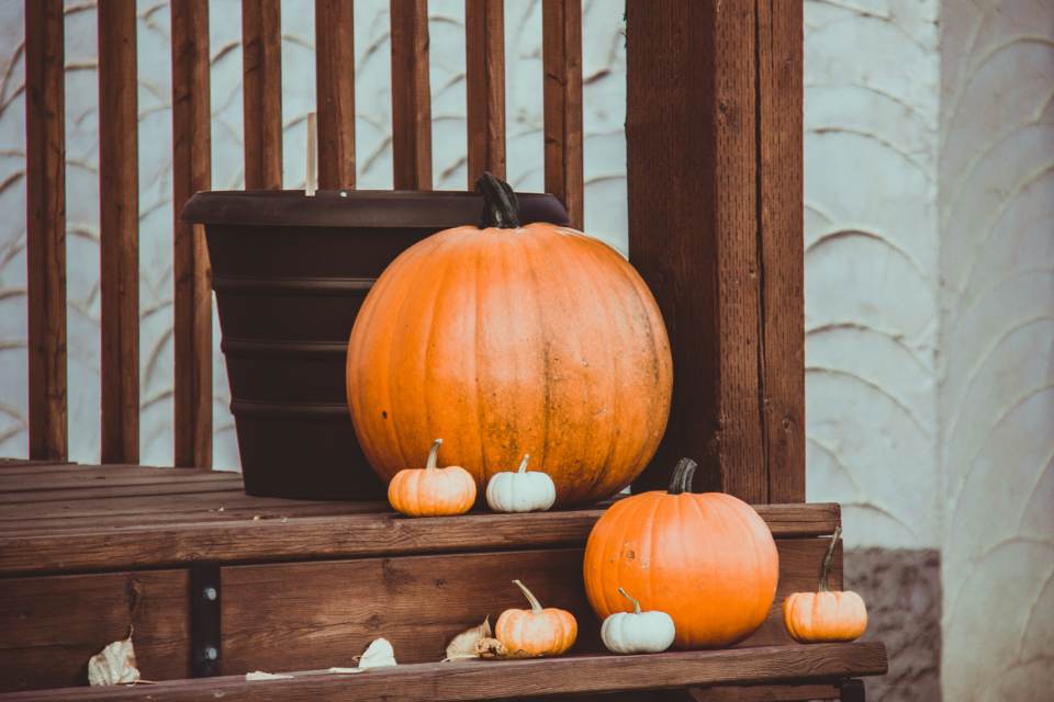 Thanksgiving Fall